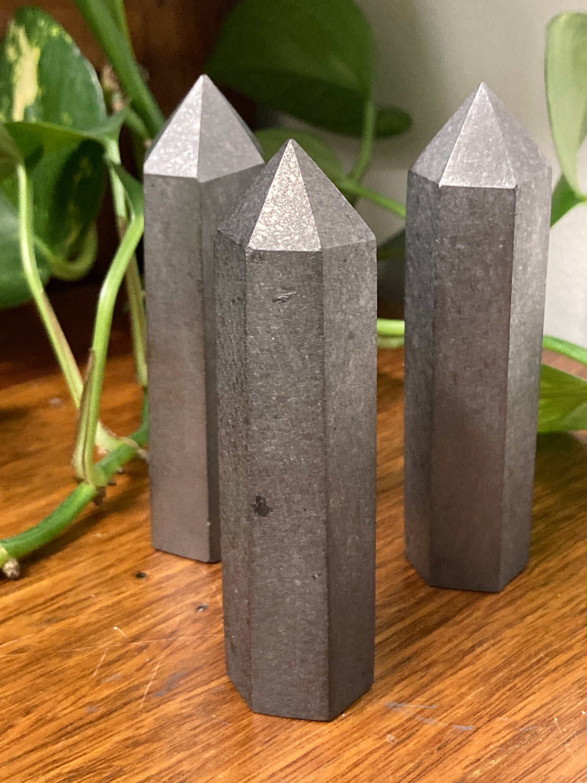 Petrovsky Shungite Generator