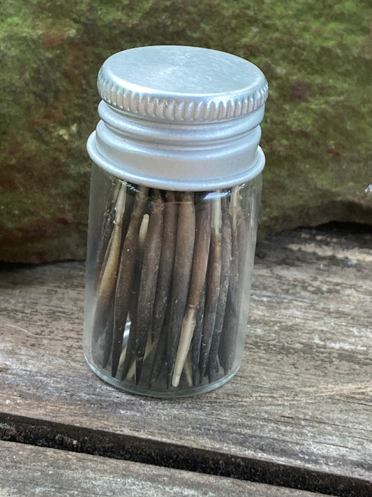 Echidna Quills