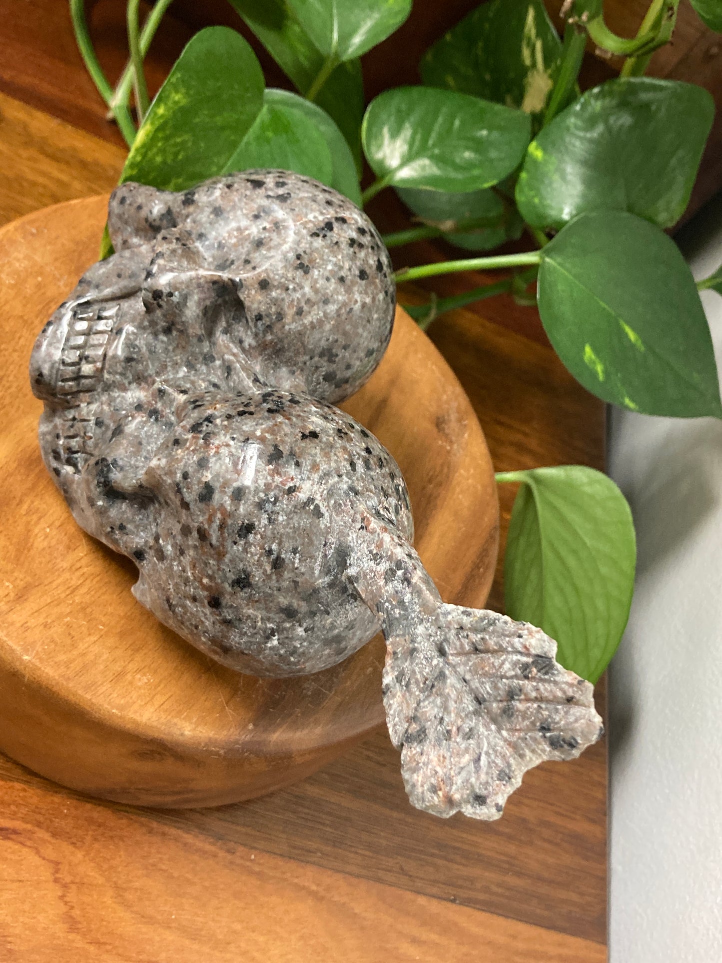Yooperlite Skull