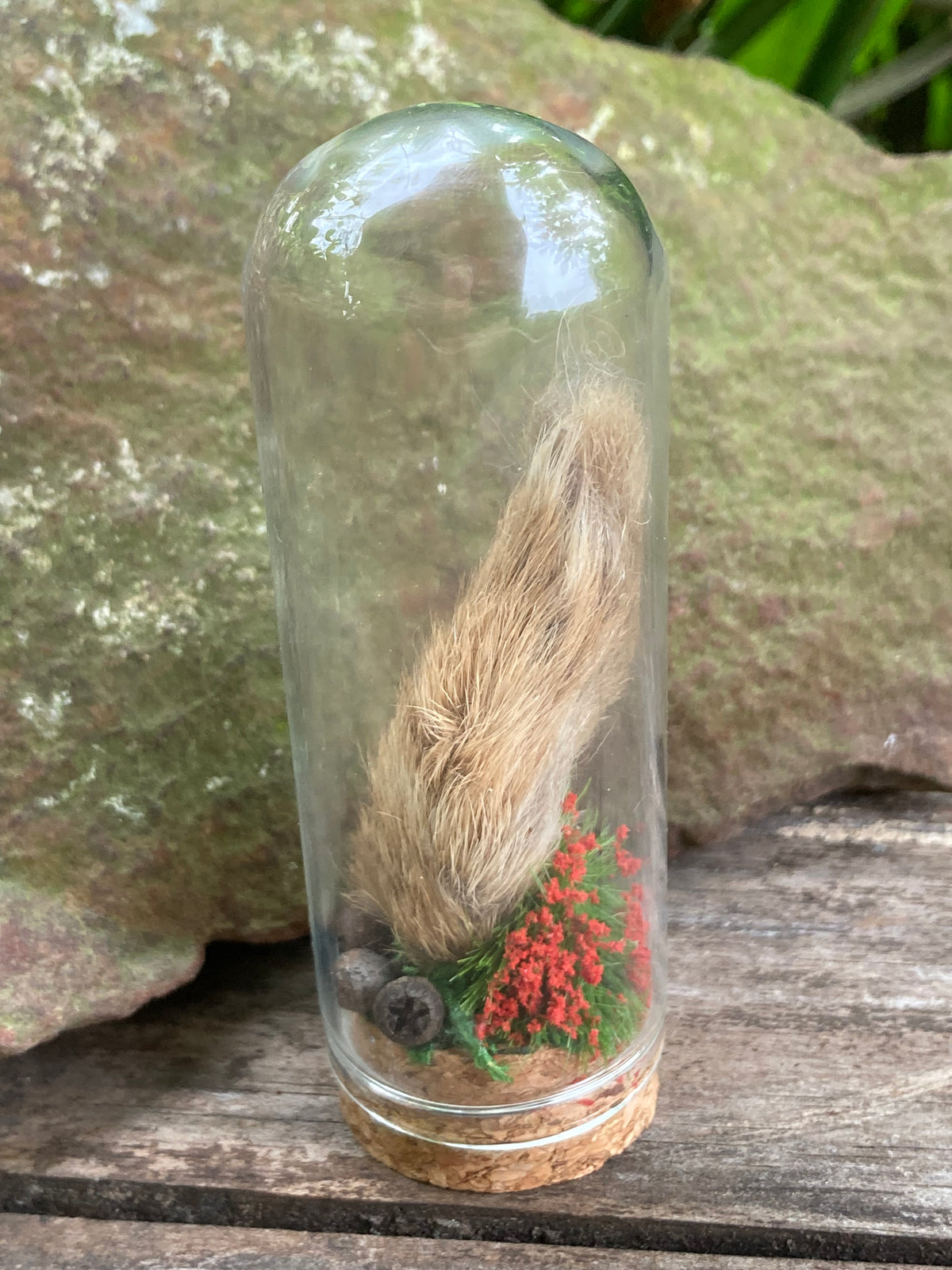 Hare Foot Bone Garden