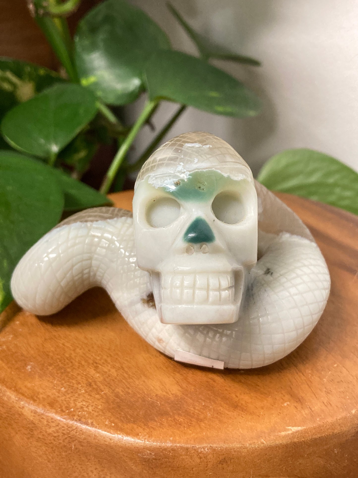 Moss Agate Skull Snake