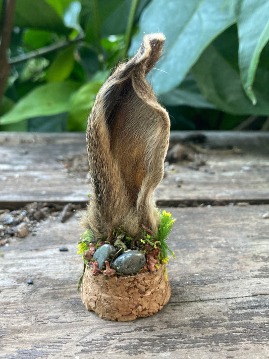 Hare Bone Garden