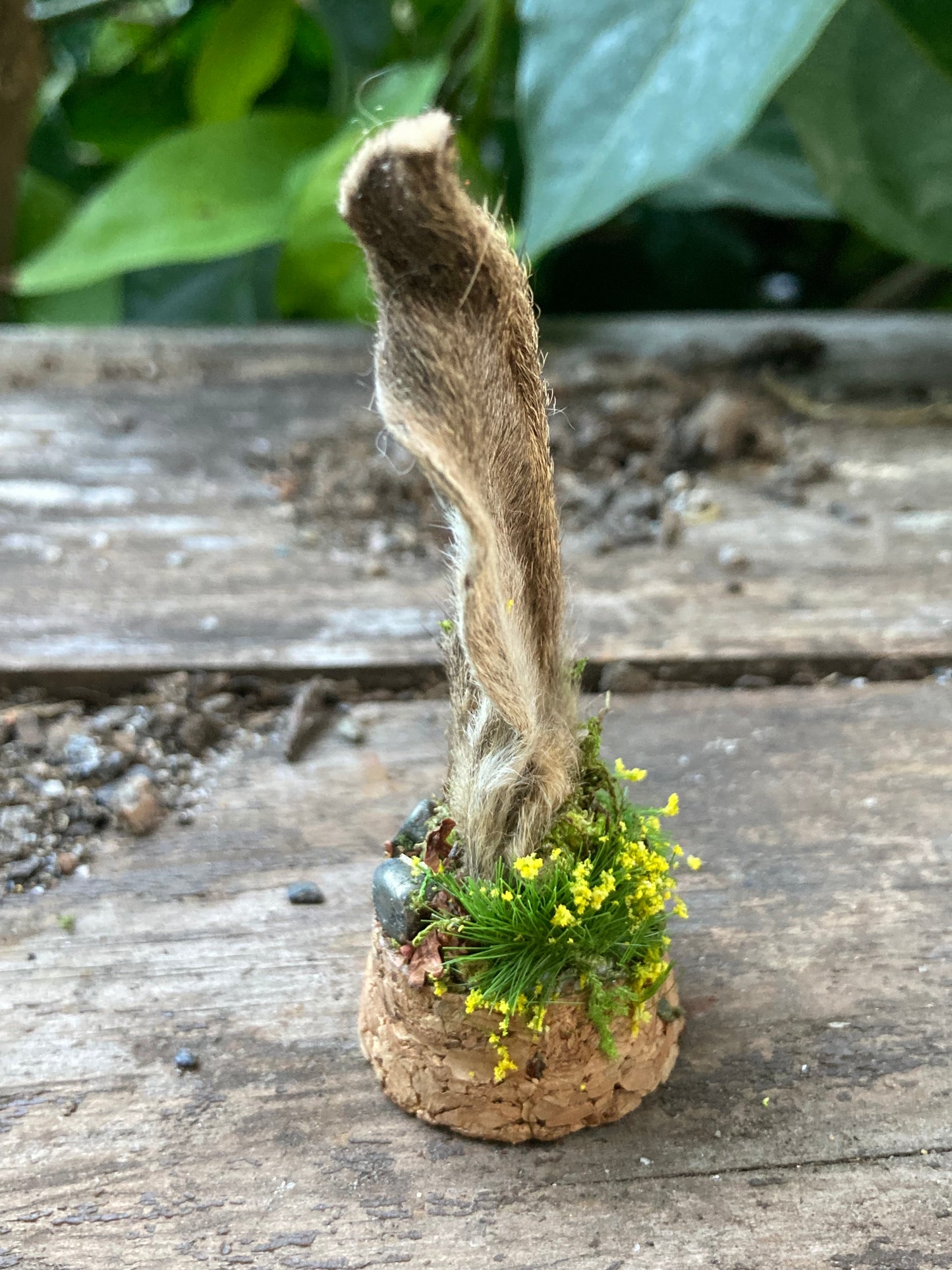 Hare Bone Garden