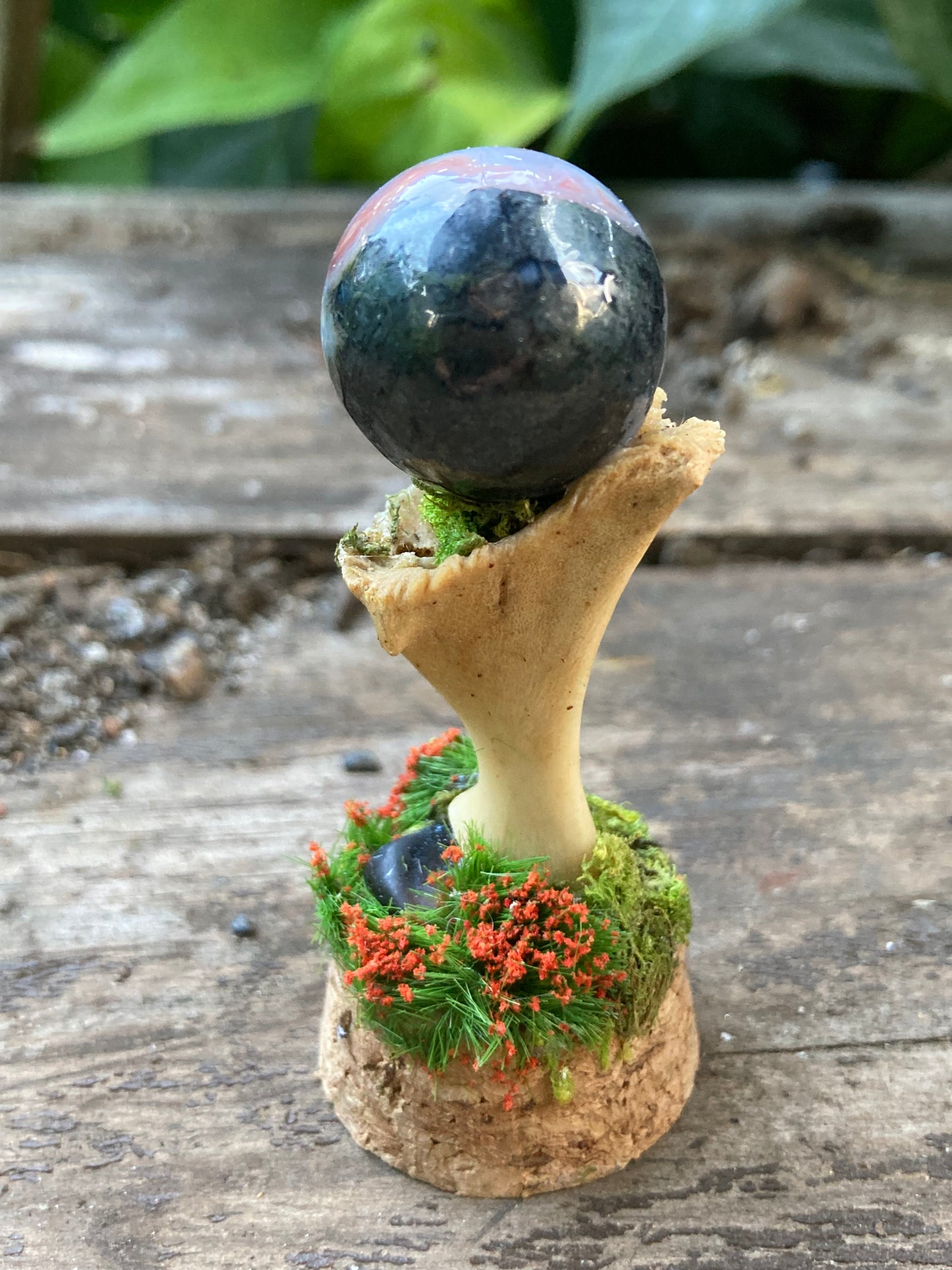 Turtle Bone Garden