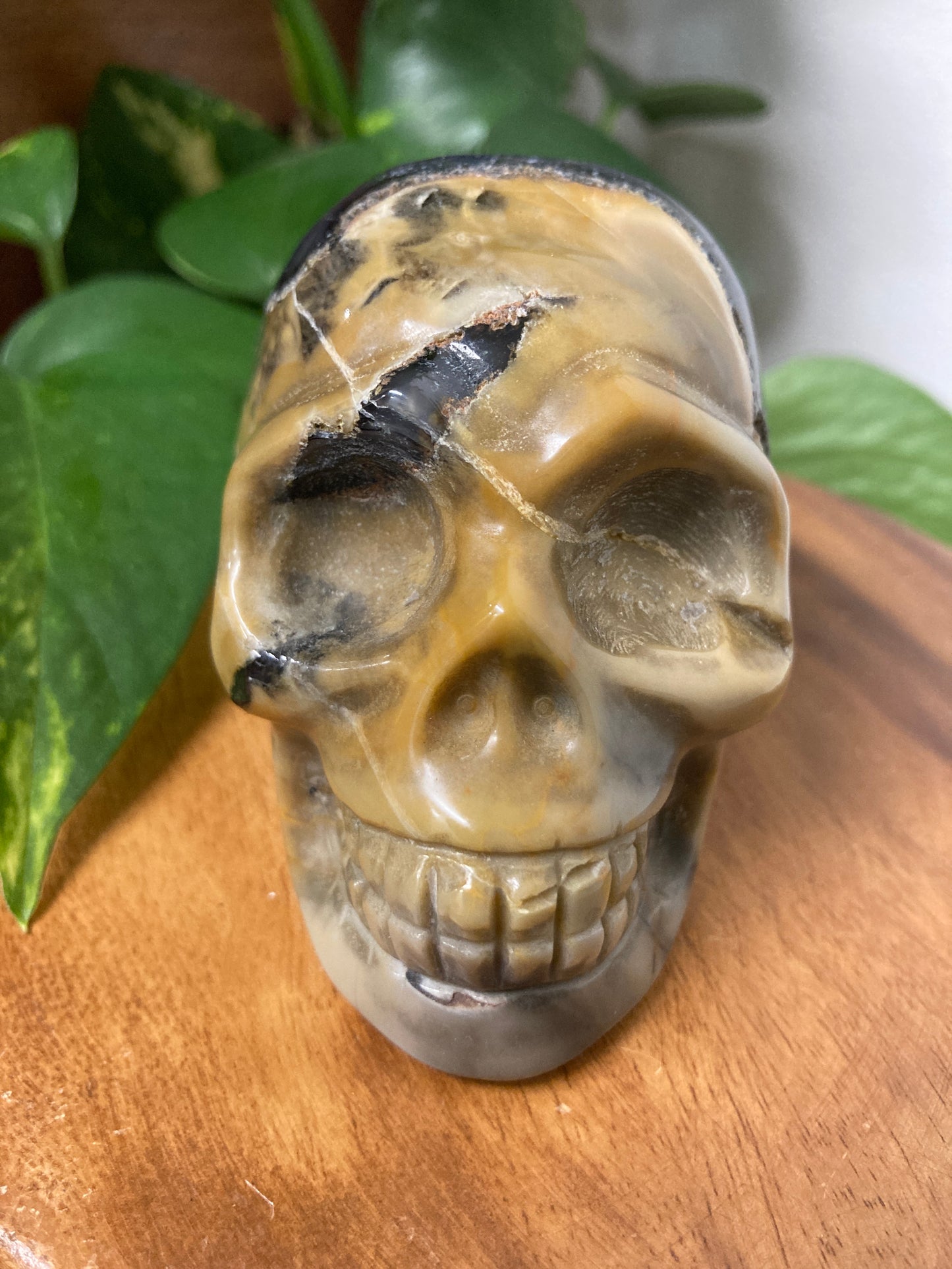 Agate Crystal Skull B