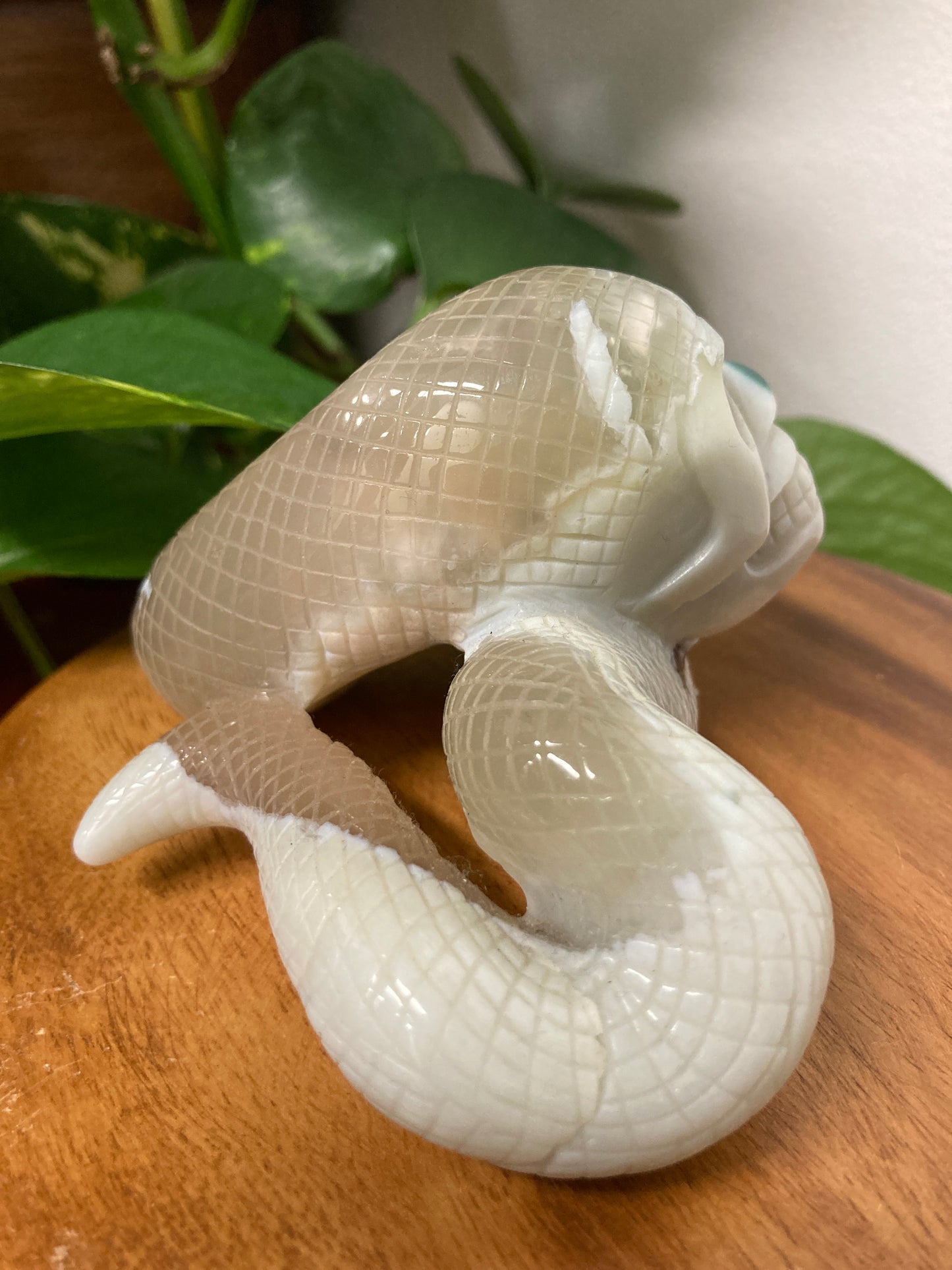 Moss Agate Skull Snake