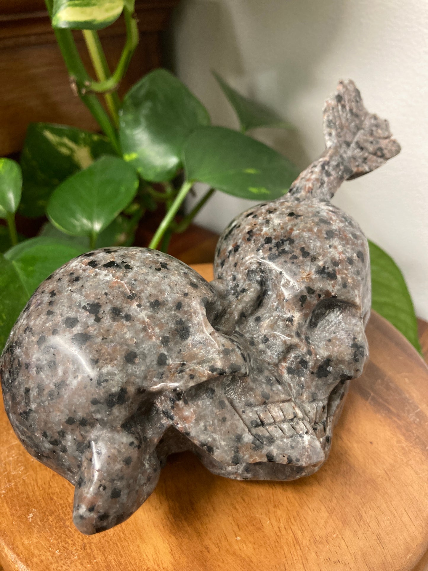 Yooperlite Skull