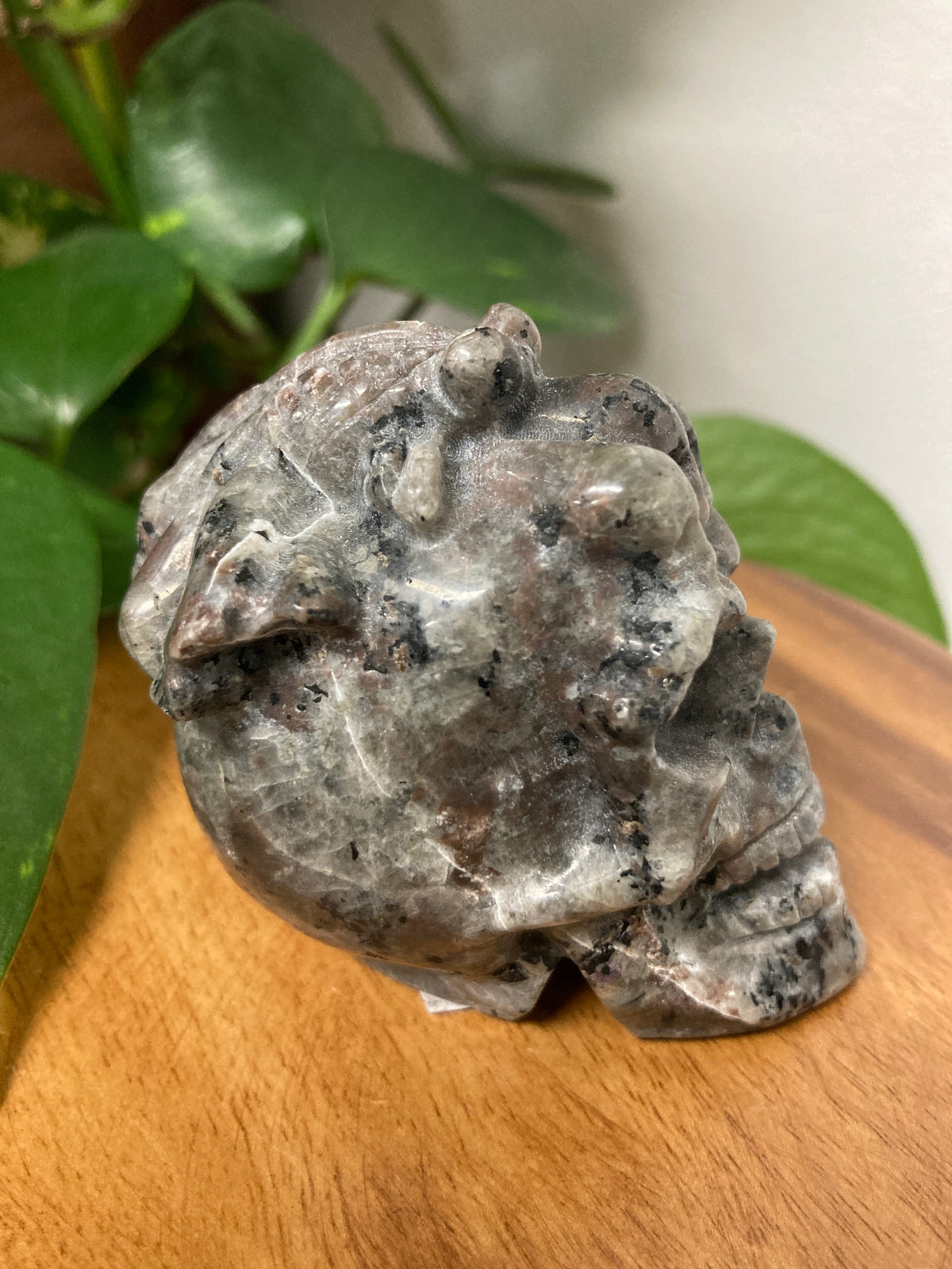Yooperlite Skull