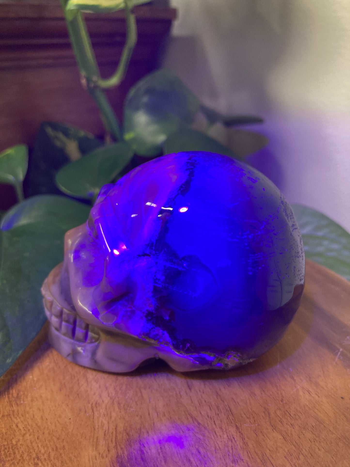 Agate Crystal Skull B