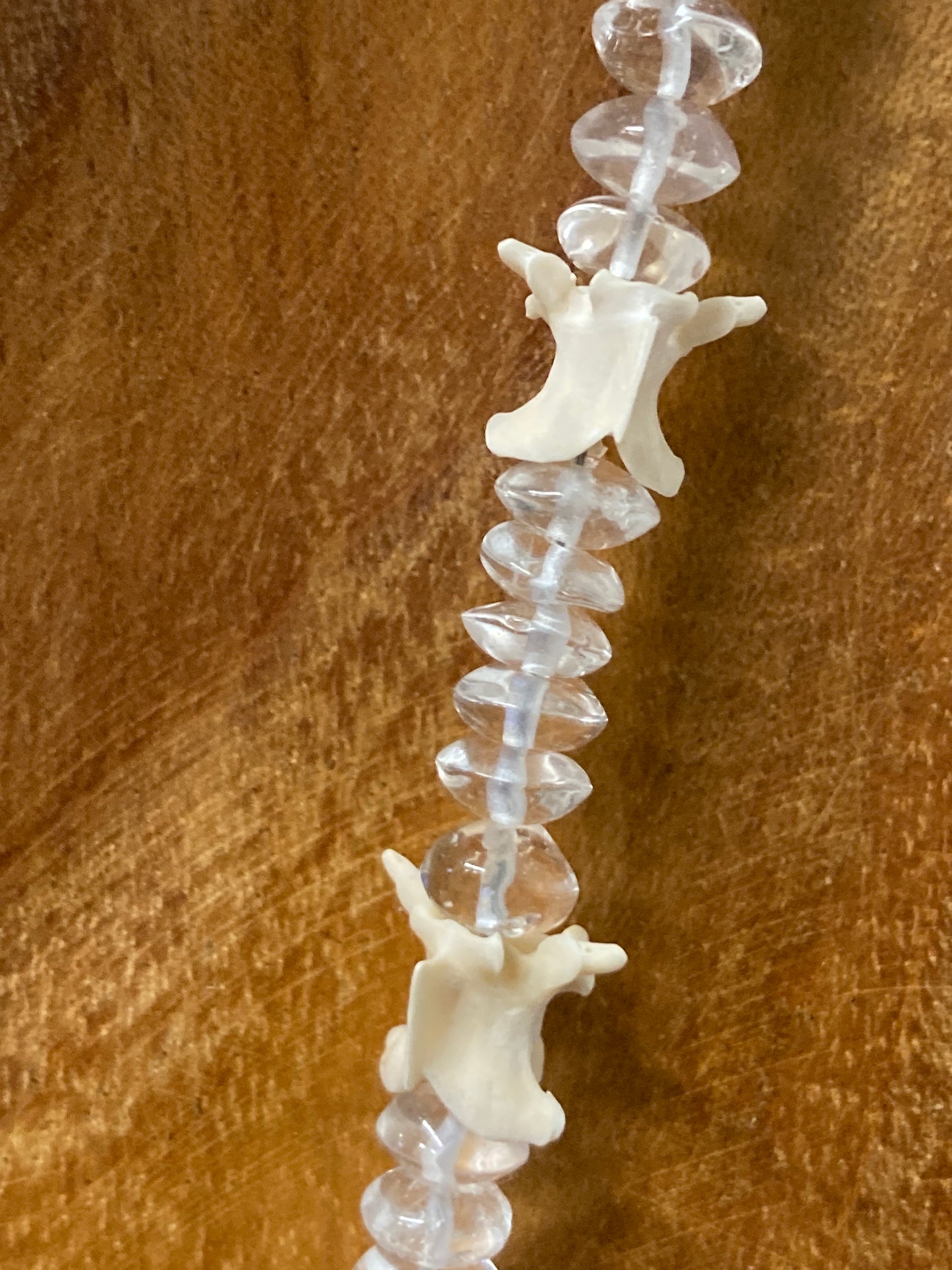 Shark Tooth, Snake Vertabrae Necklace