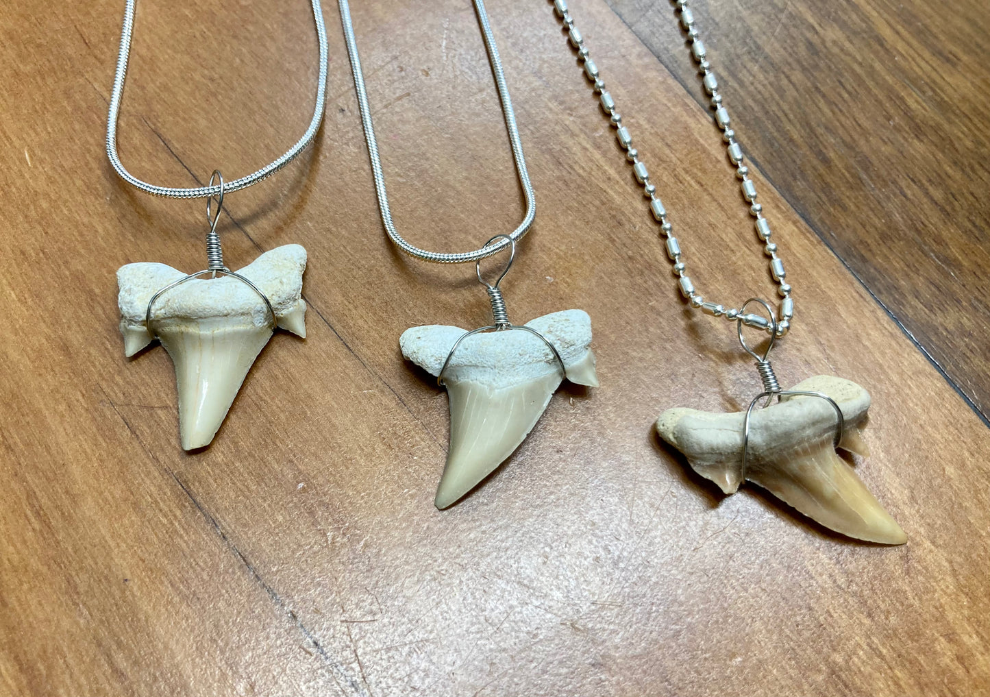 Fossil Shark Tooth Necklace