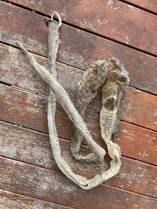 Python Shedding