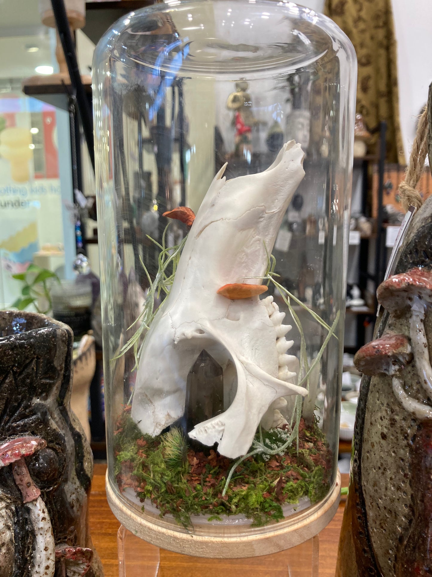 Bone Garden
