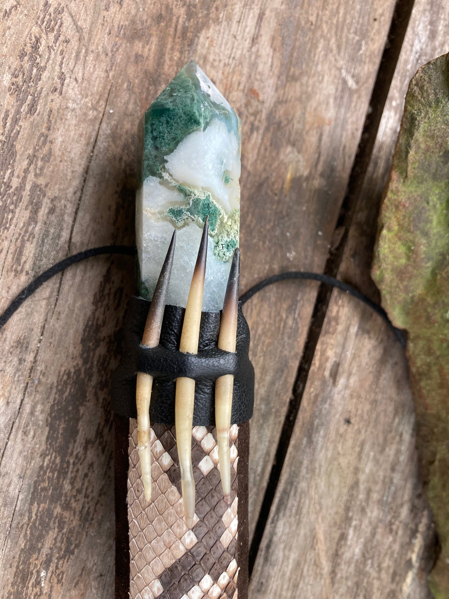 Reticulated Python with Echidna Copper Medicine Healing Tool