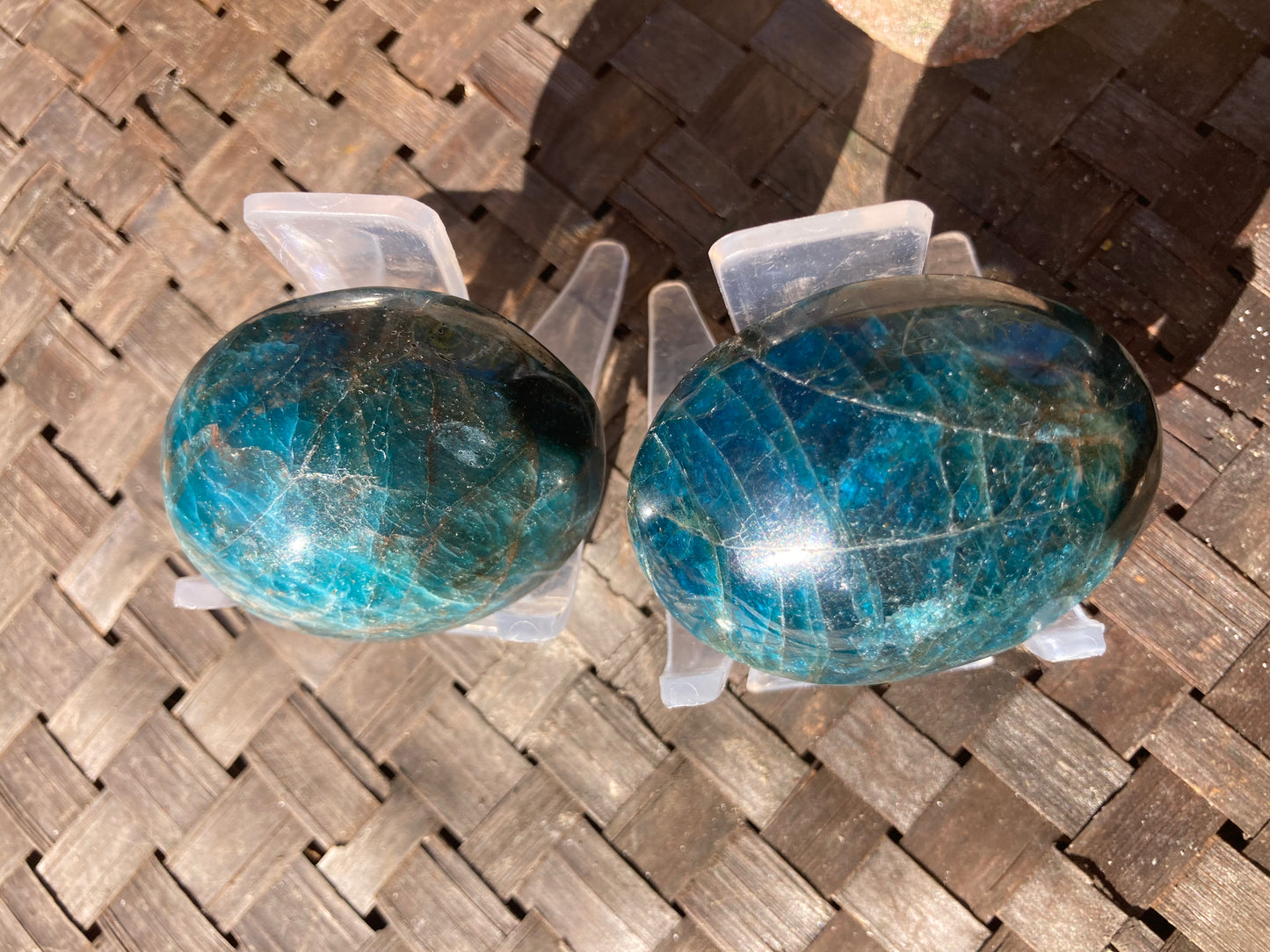 Apatite Palmstone