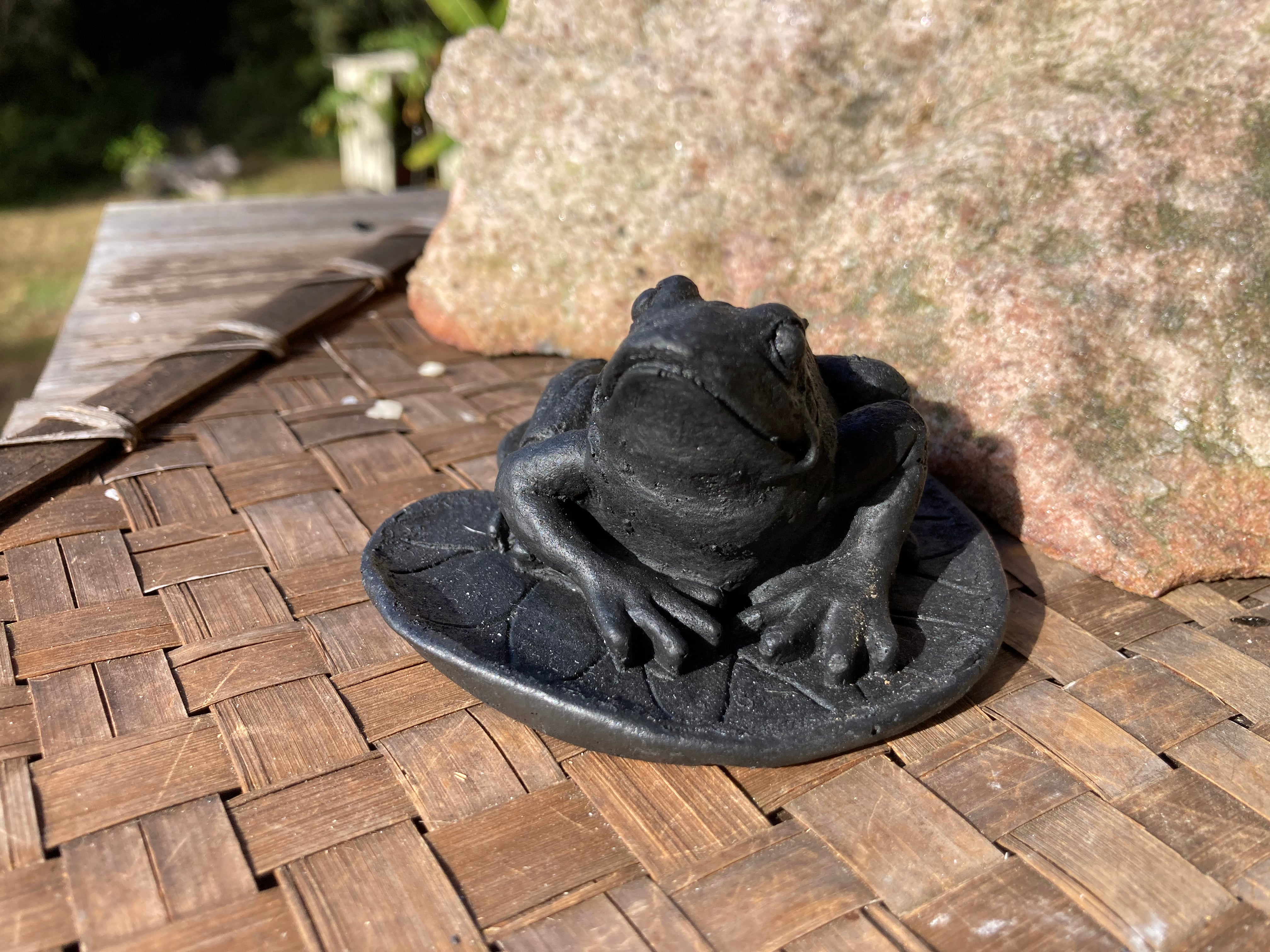 Shungite Frog – Magically Eccentric