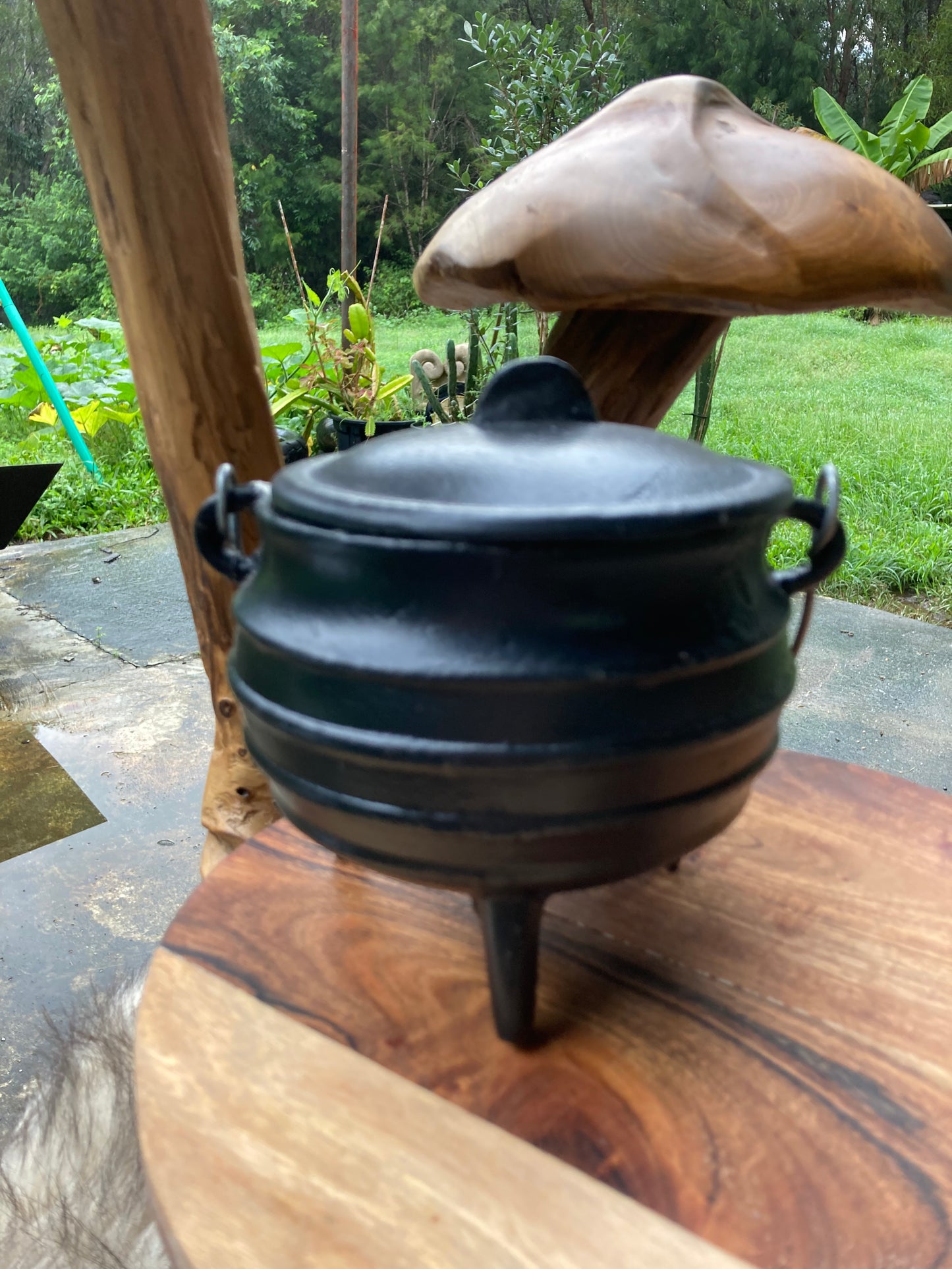 Cauldron medium